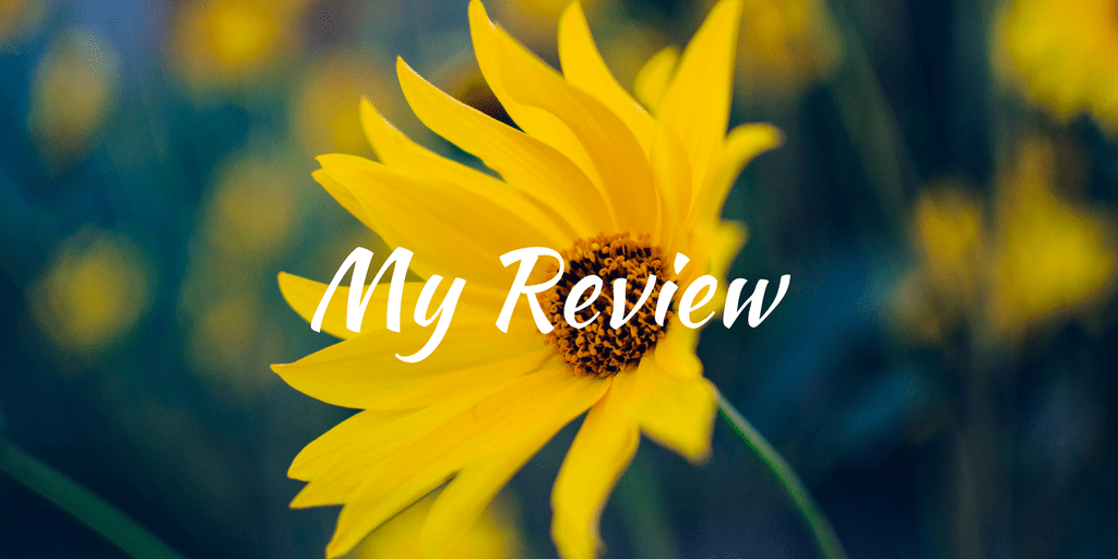 The Rules of Magic 2